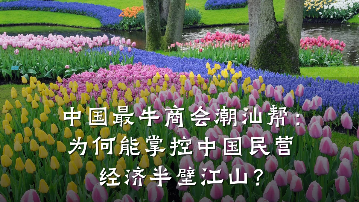 中国最牛商会潮汕帮:为何能掌控中国民营经济半壁江山?
