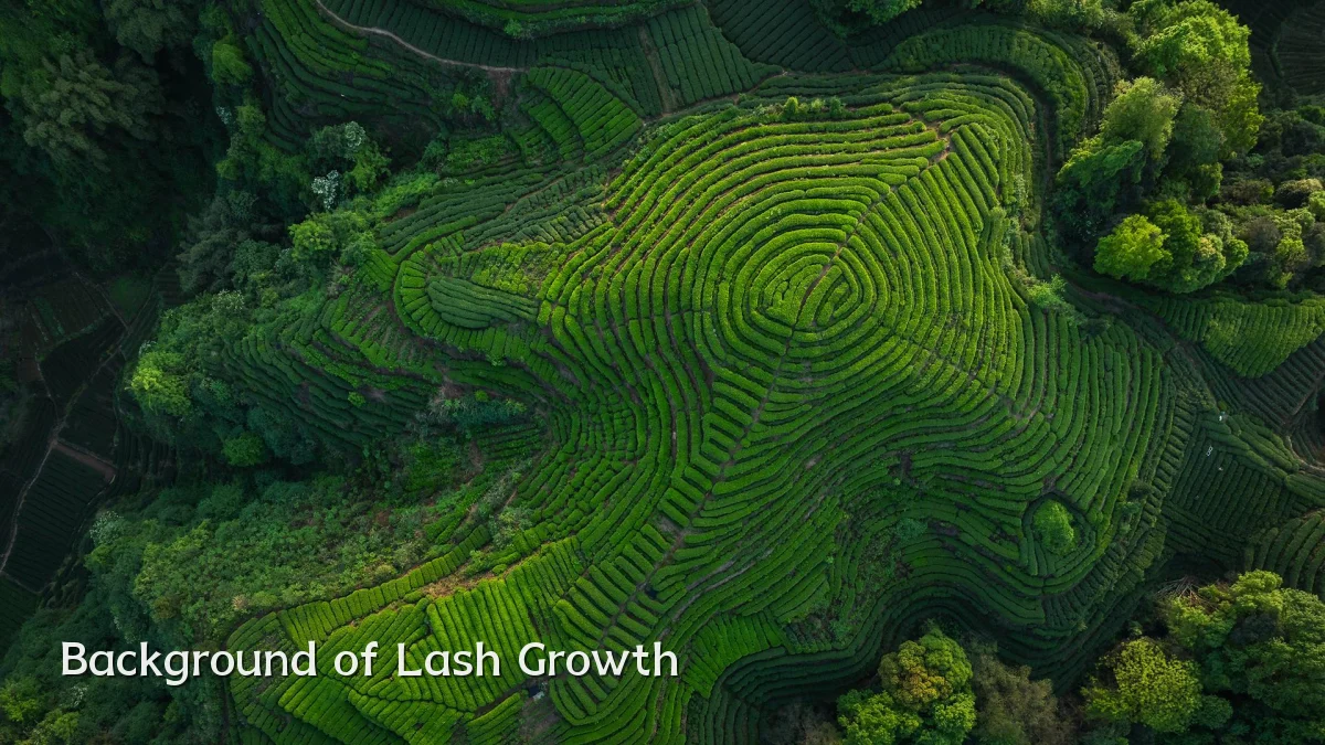 Background of Lash Growth