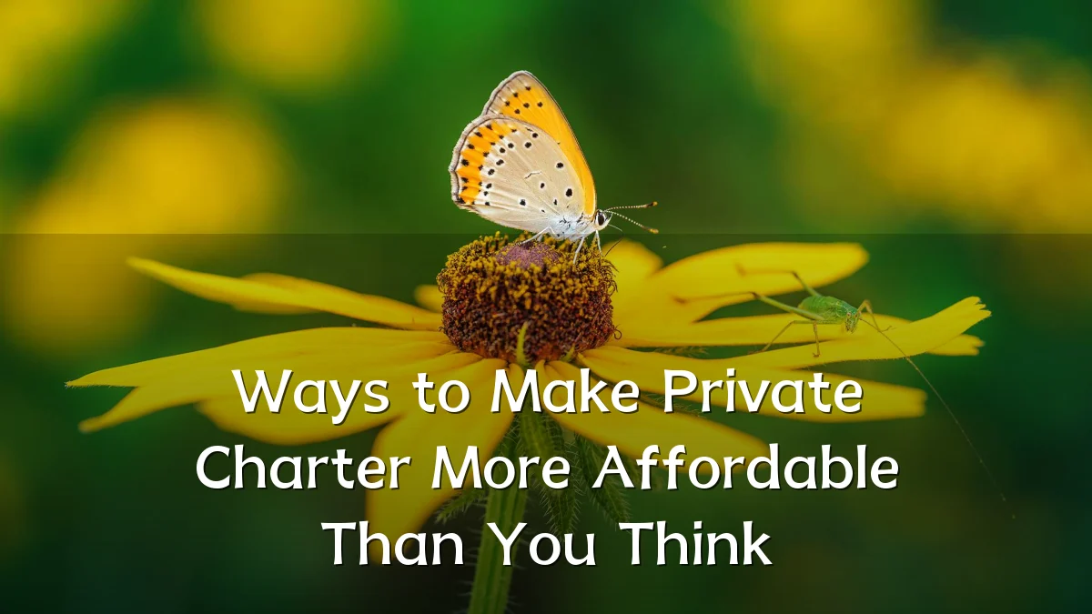 Ways to Make Private Charter More Affordable Than You Think