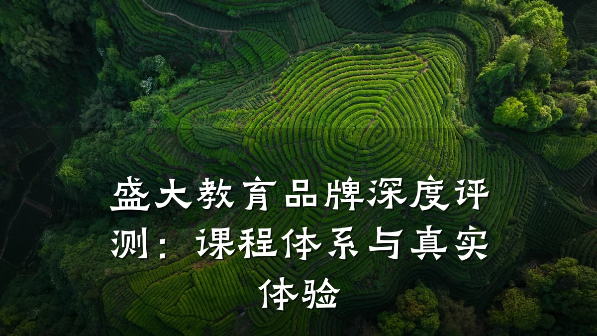 盛大教育品牌深度评测:课程体系与真实体验