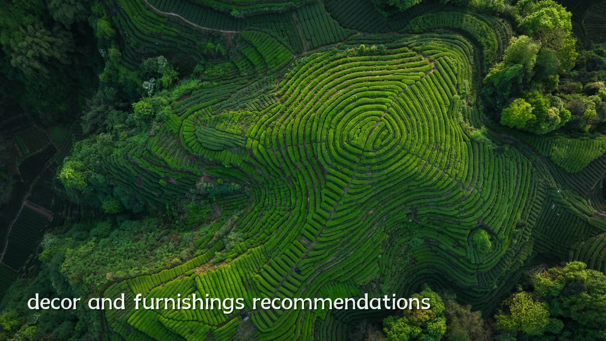 decor and furnishings recommendations