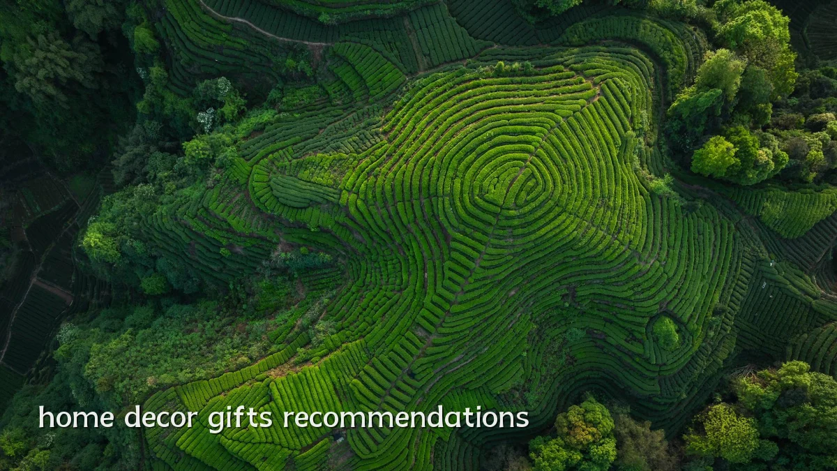 home decor gifts recommendations