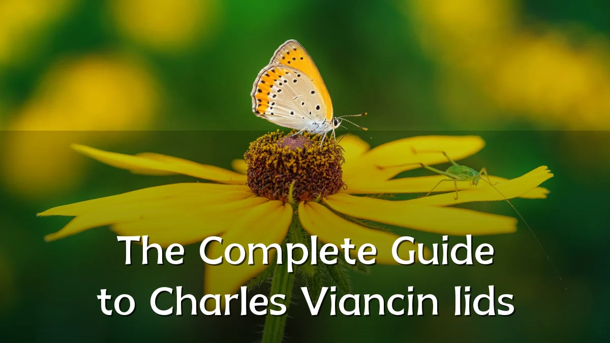 The Complete Guide to Charles Viancin lids
