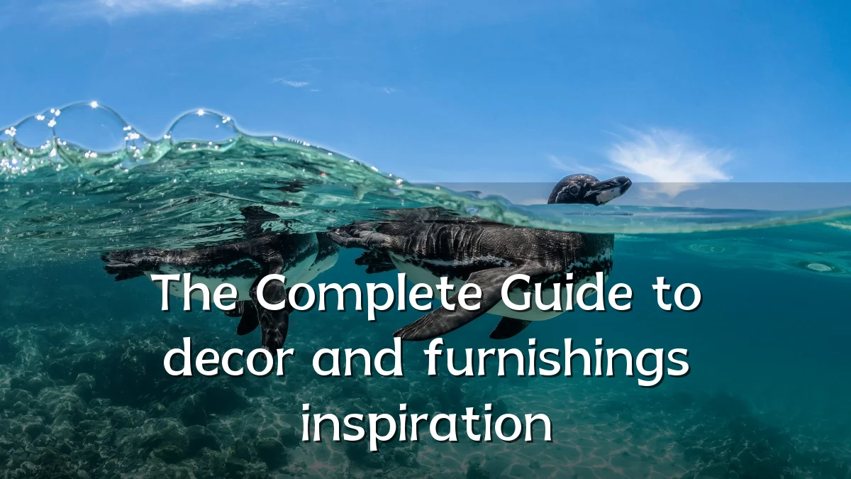 The Complete Guide to decor and furnishings inspiration