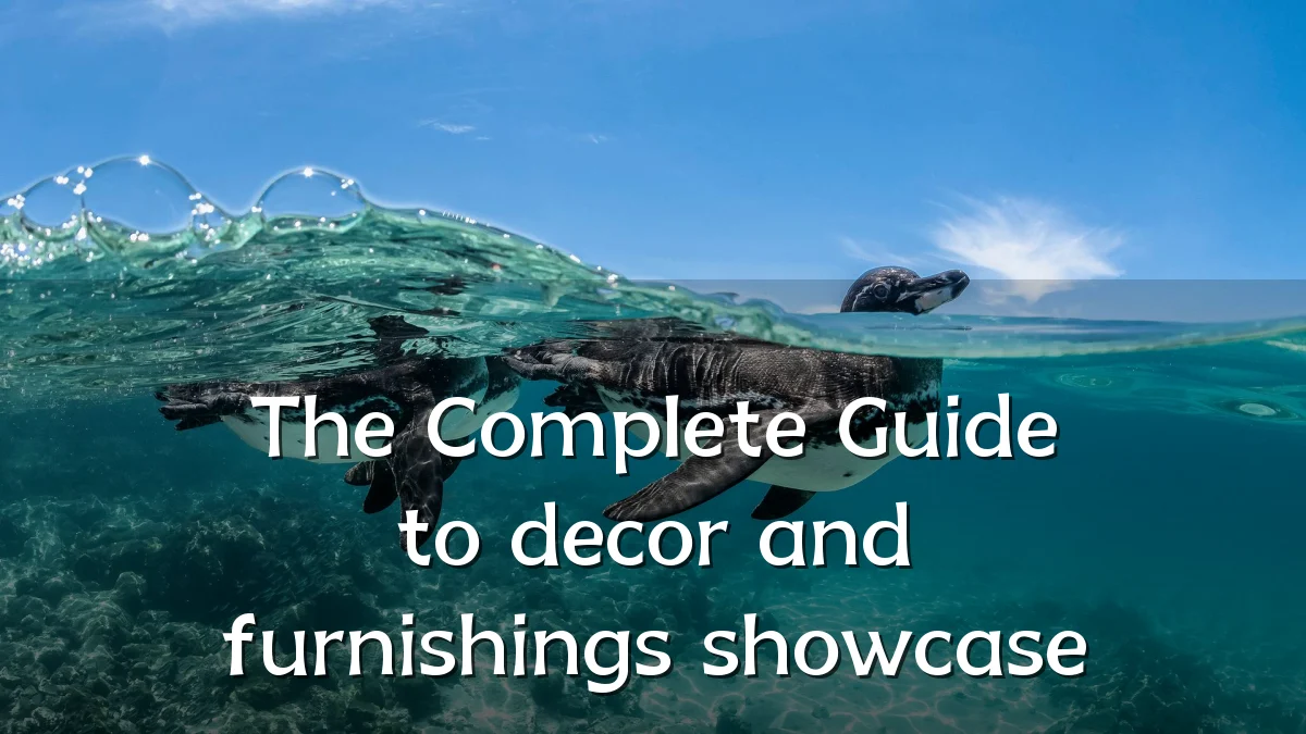 The Complete Guide to decor and furnishings showcase