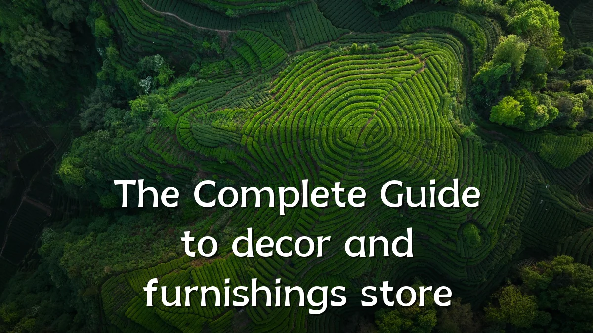 The Complete Guide to decor and furnishings store