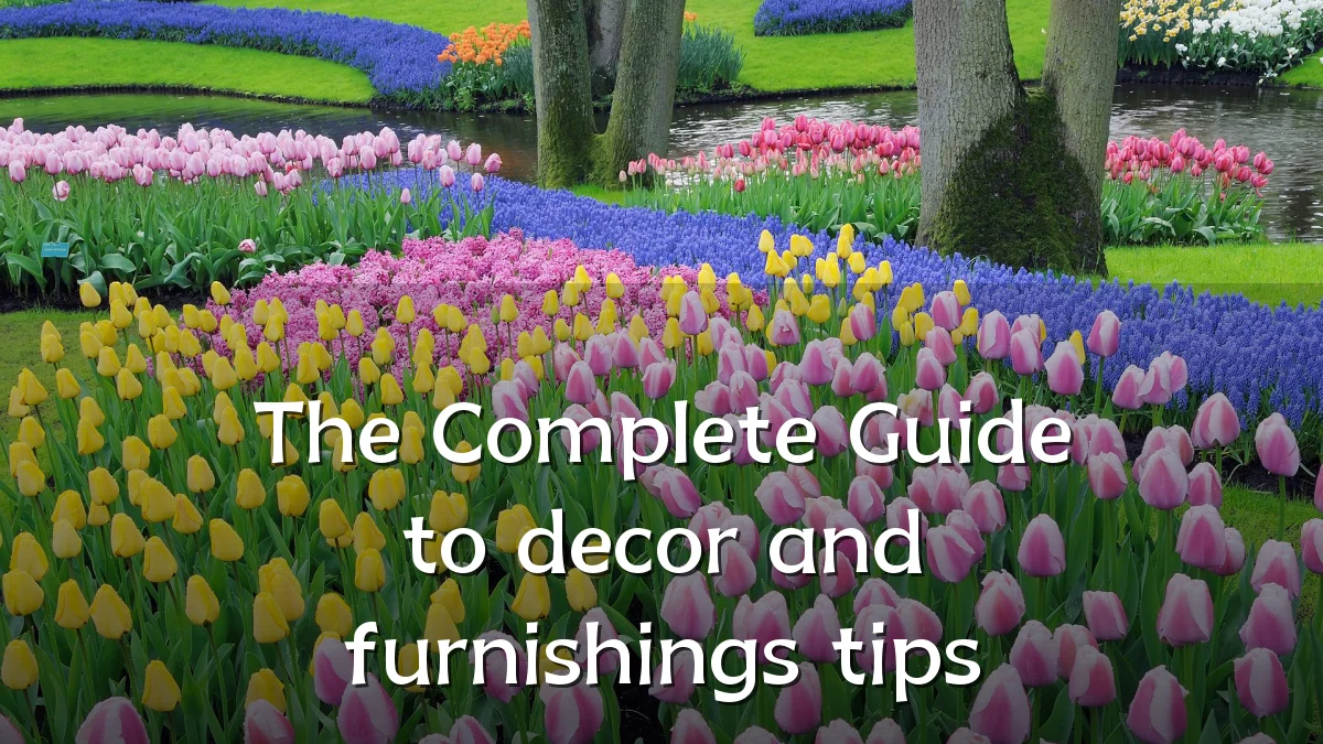 The Complete Guide to decor and furnishings tips