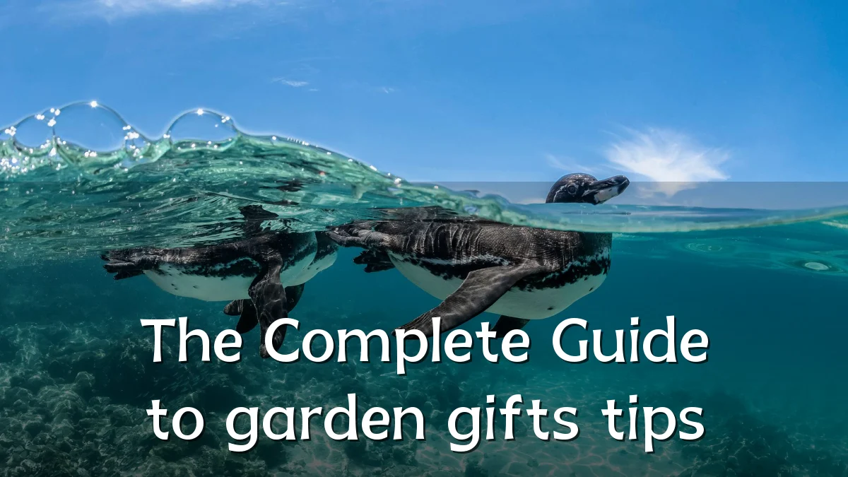 The Complete Guide to garden gifts tips