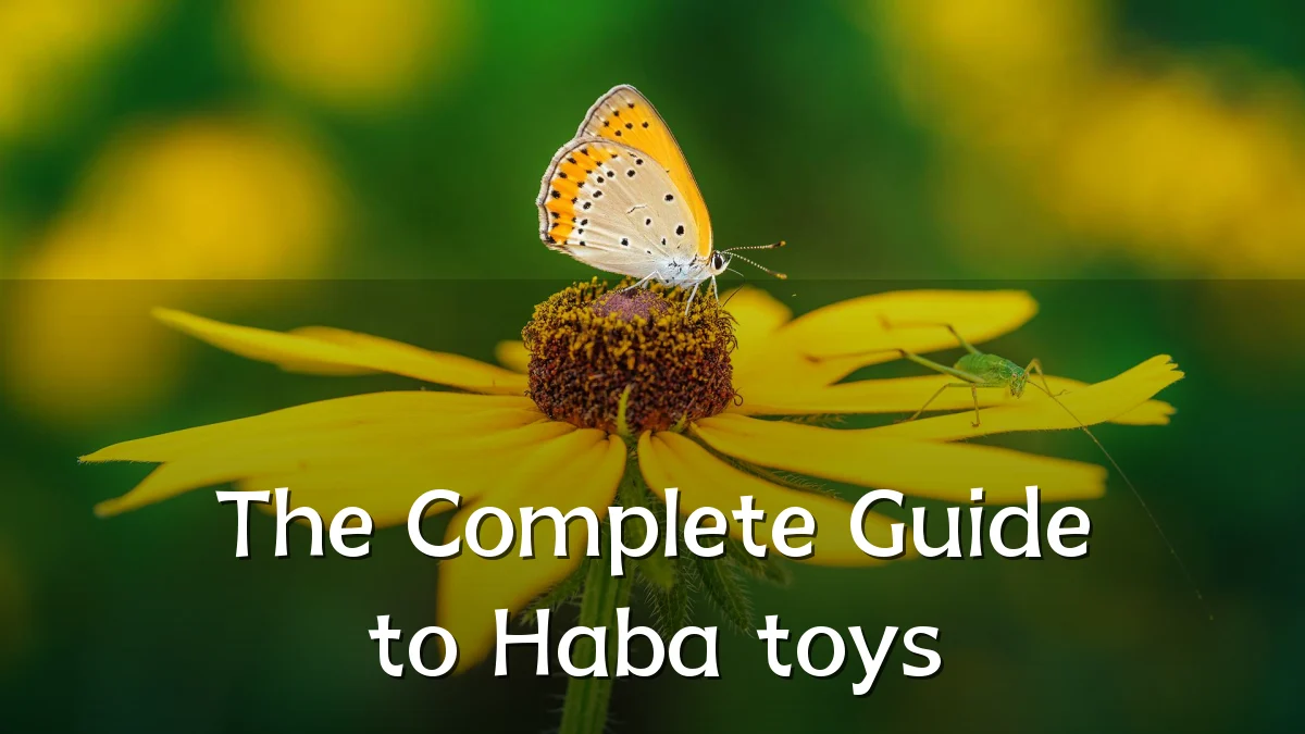 The Complete Guide to Haba toys