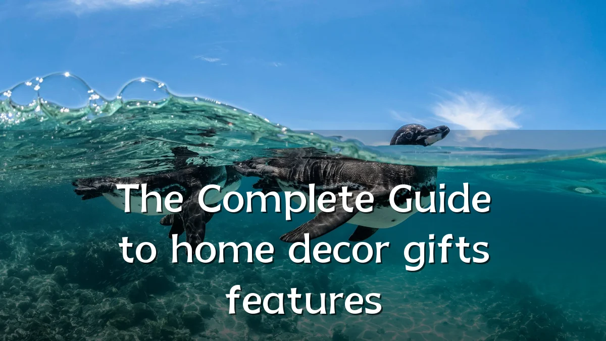 The Complete Guide to home decor gifts features