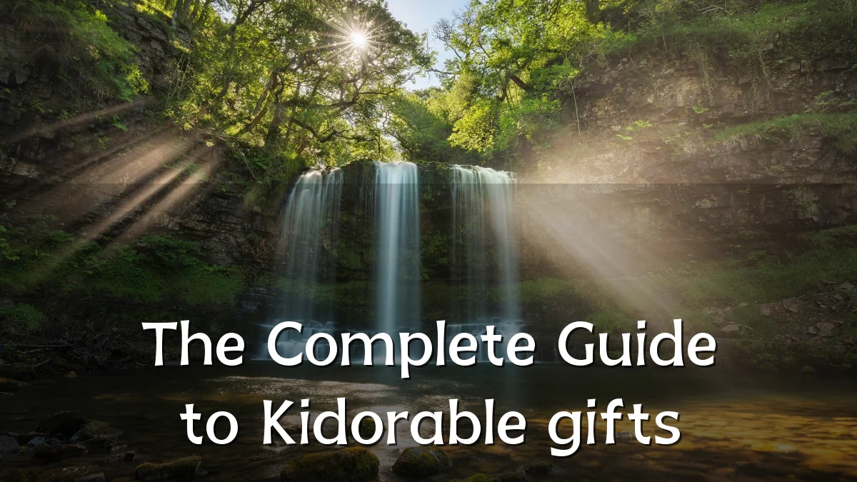 The Complete Guide to Kidorable gifts