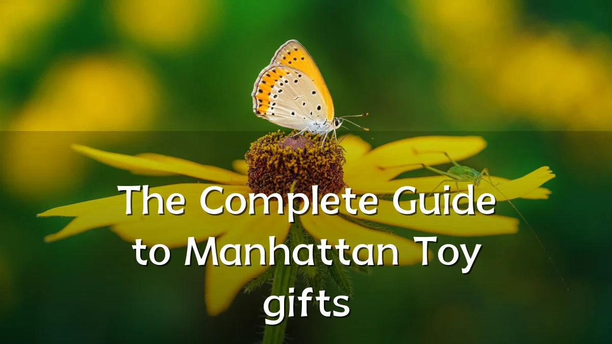 The Complete Guide to Manhattan Toy gifts