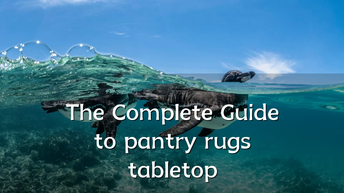 The Complete Guide to pantry rugs tabletop