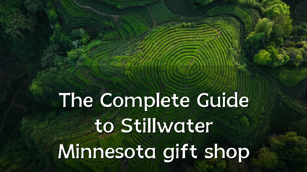 The Complete Guide to Stillwater Minnesota gift shop