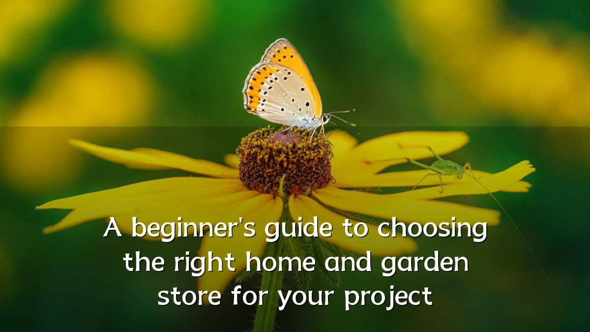 A beginner's guide to choosing the right home and garden store for your project