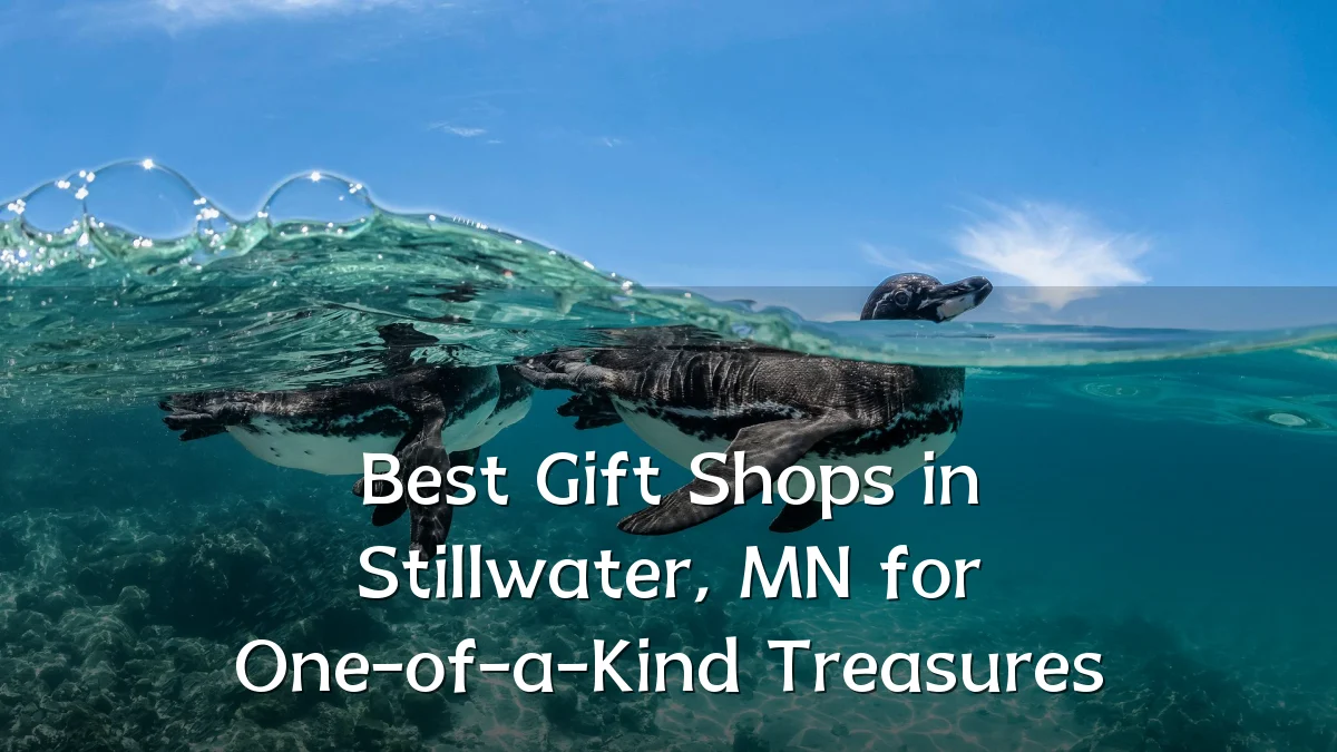 Best Gift Shops in Stillwater, MN for One-of-a-Kind Treasures