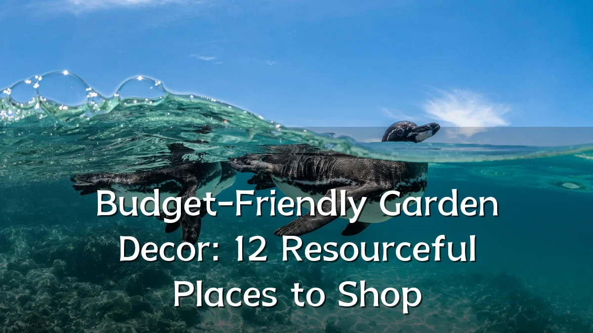 Budget-Friendly Garden Decor: 12 Resourceful Places to Shop