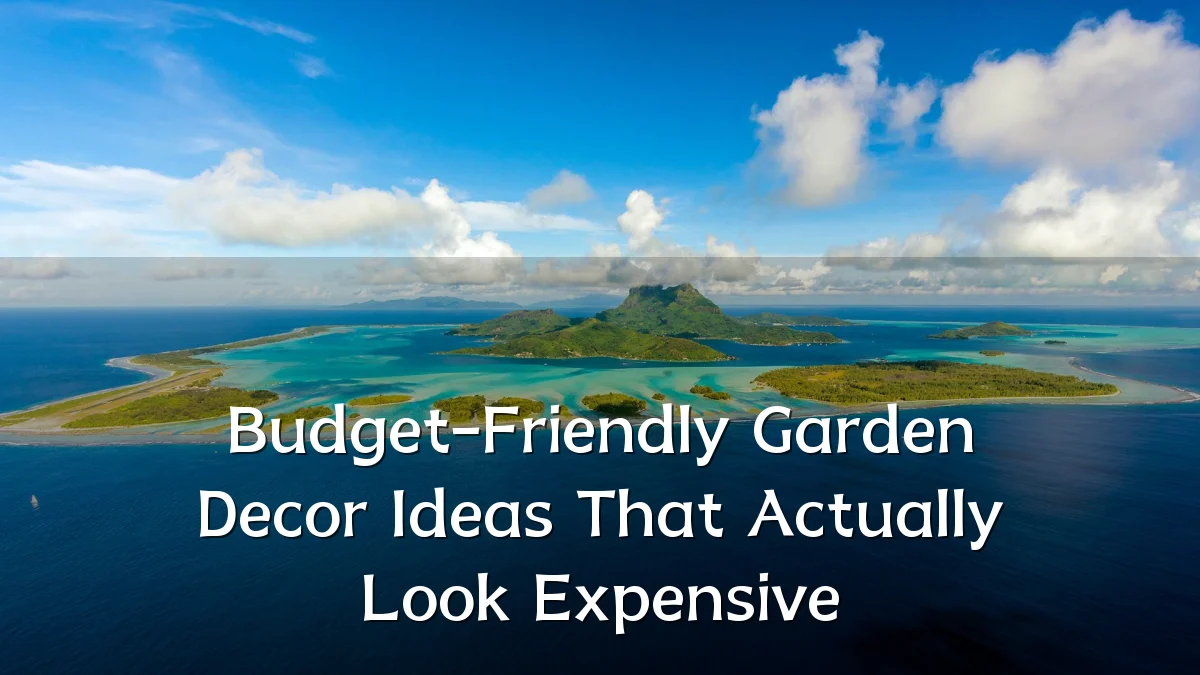 Budget-Friendly Garden Decor Ideas That Actually Look Expensive