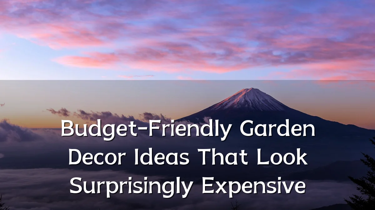 Budget-Friendly Garden Decor Ideas That Look Surprisingly Expensive