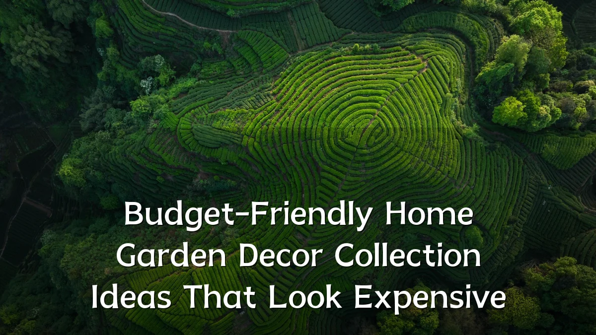 Budget-Friendly Home Garden Decor Collection Ideas That Look Expensive