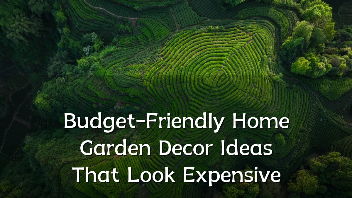 Budget-Friendly Home Garden Decor Ideas That Look Expensive