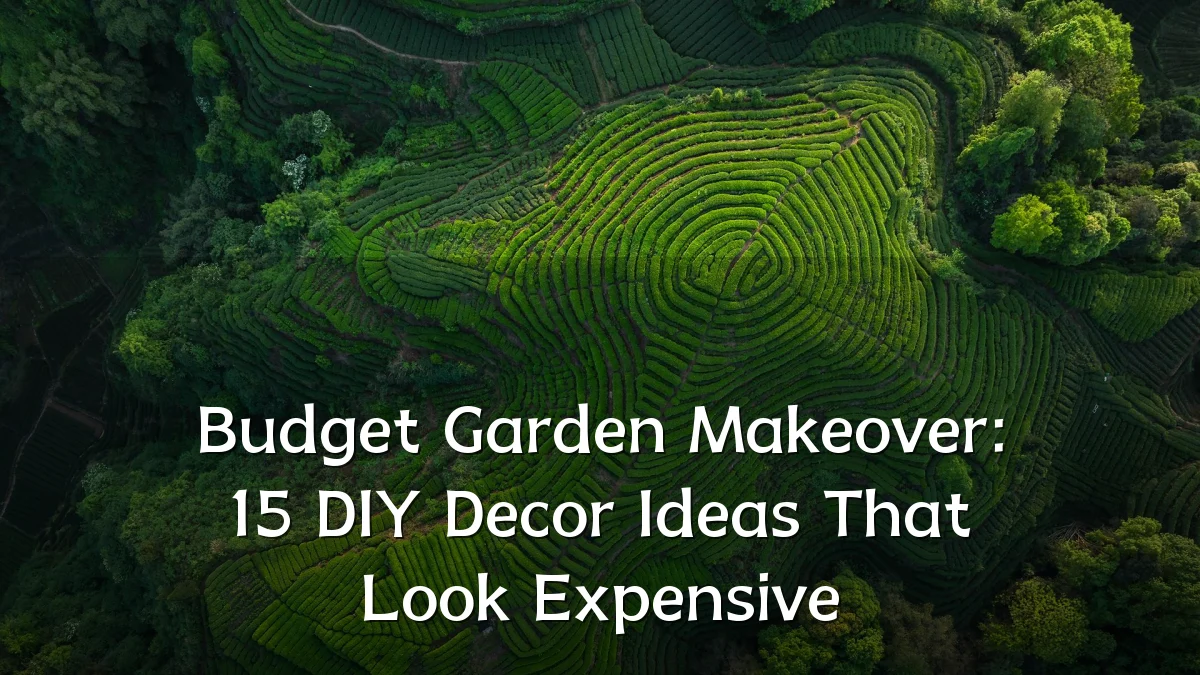 Budget Garden Makeover: 15 DIY Decor Ideas That Look Expensive