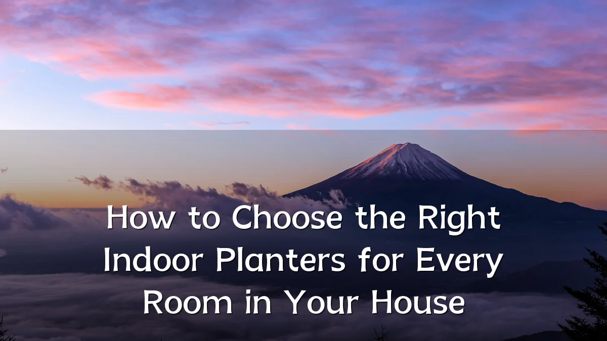 How to Choose the Right Indoor Planters for Every Room in Your House