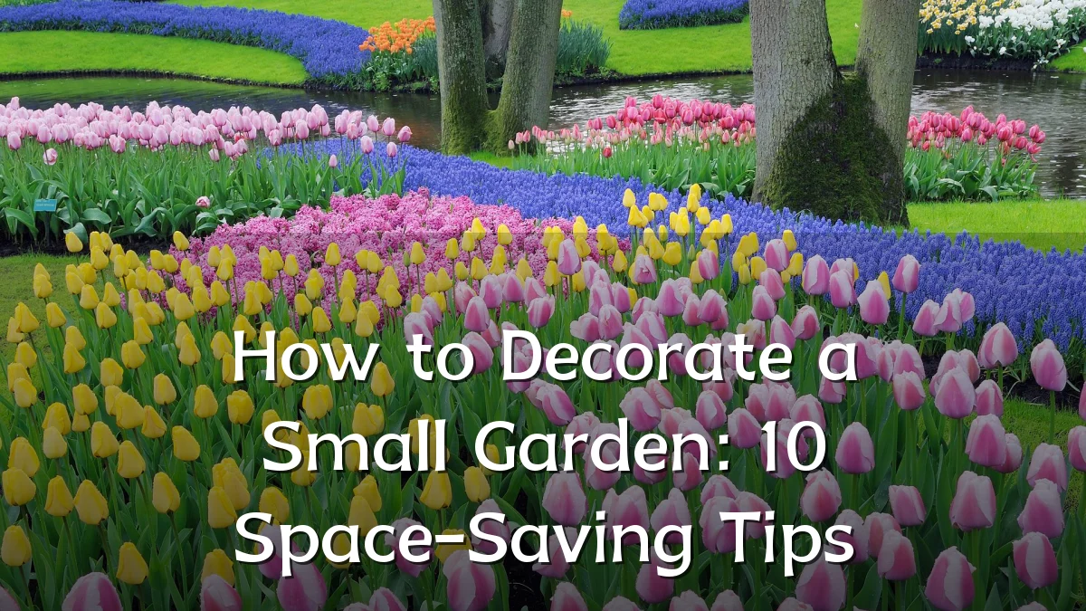 How to Decorate a Small Garden: 10 Space-Saving Tips