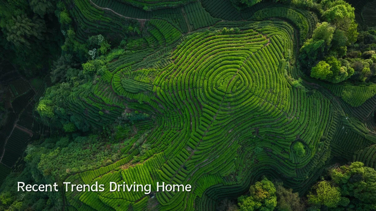 Recent Trends Driving Home