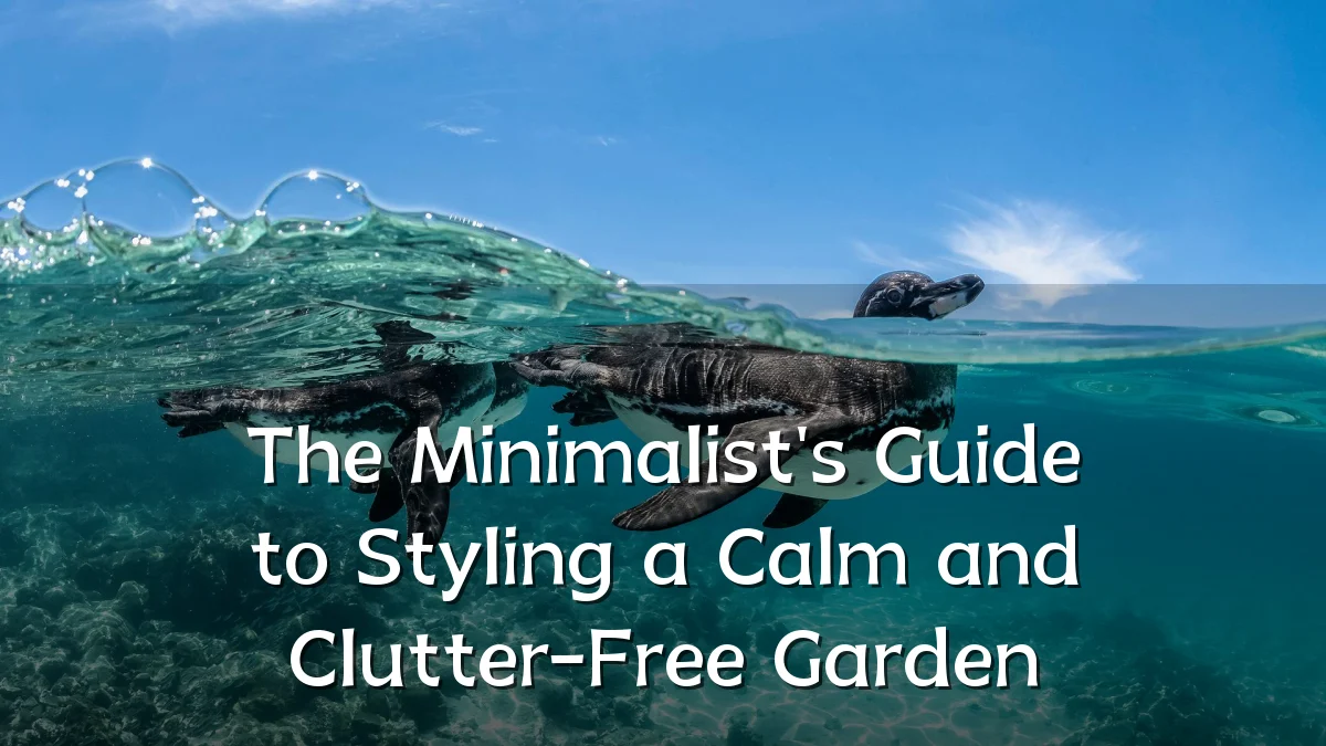 The Minimalist's Guide to Styling a Calm and Clutter-Free Garden