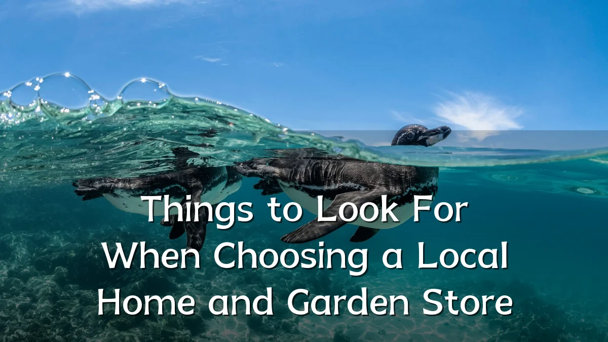 Things to Look For When Choosing a Local Home and Garden Store