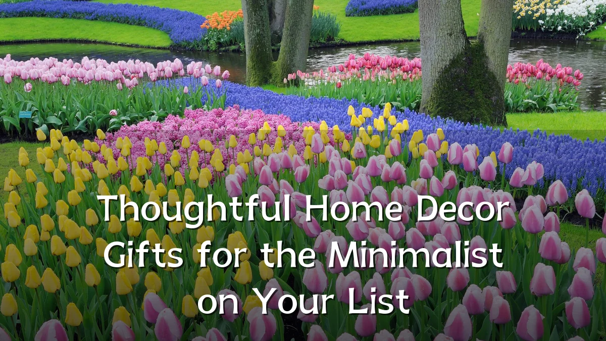 Thoughtful Home Decor Gifts for the Minimalist on Your List