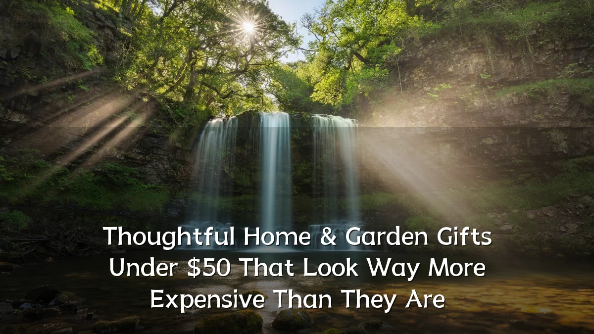 Thoughtful Home & Garden Gifts Under $50 That Look Way More Expensive Than They Are