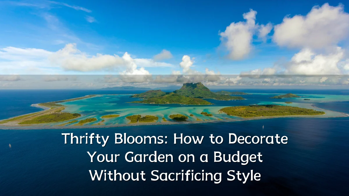 Thrifty Blooms: How to Decorate Your Garden on a Budget Without Sacrificing Style