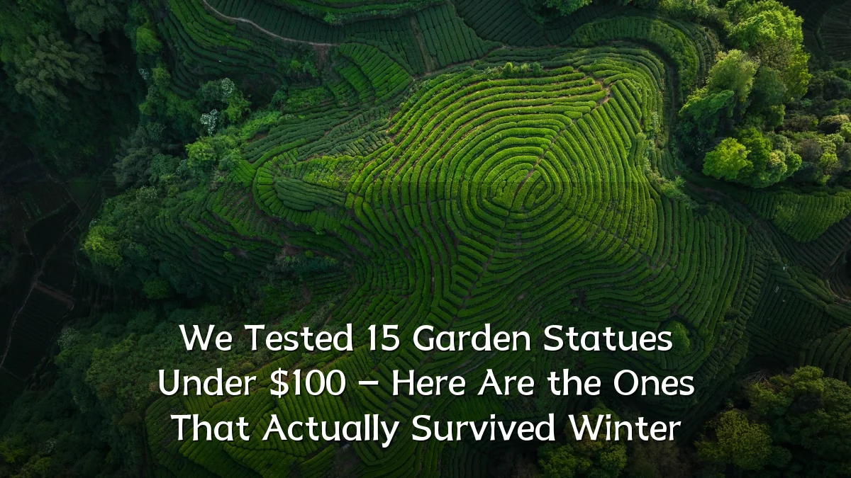 We Tested 15 Garden Statues Under $100 – Here Are the Ones That Actually Survived Winter