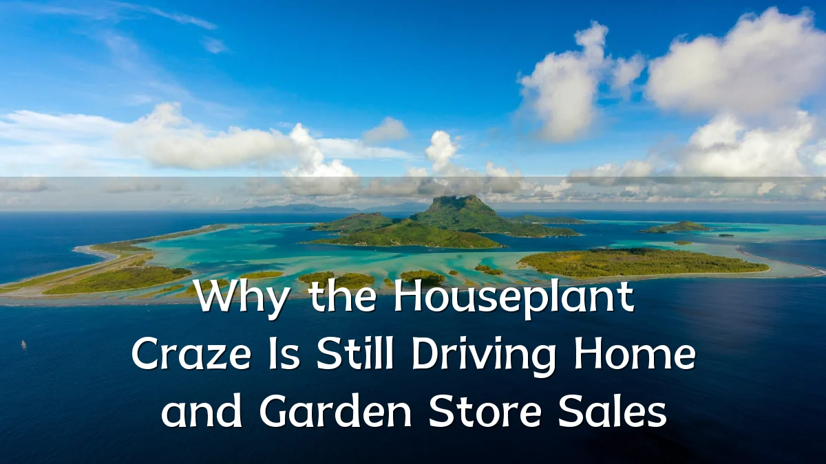 Why the Houseplant Craze Is Still Driving Home and Garden Store Sales