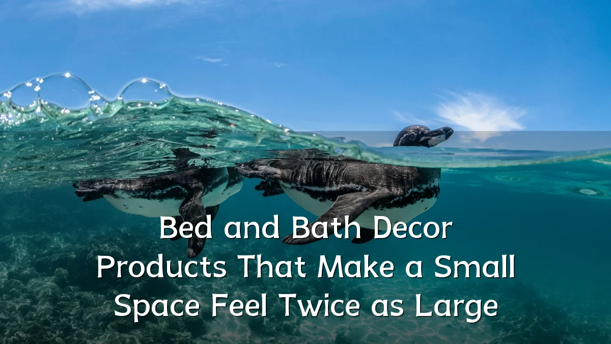Bed and Bath Decor Products That Make a Small Space Feel Twice as Large