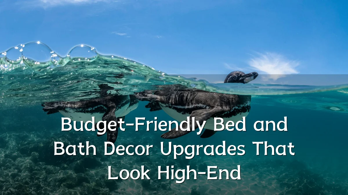 Budget-Friendly Bed and Bath Decor Upgrades That Look High-End