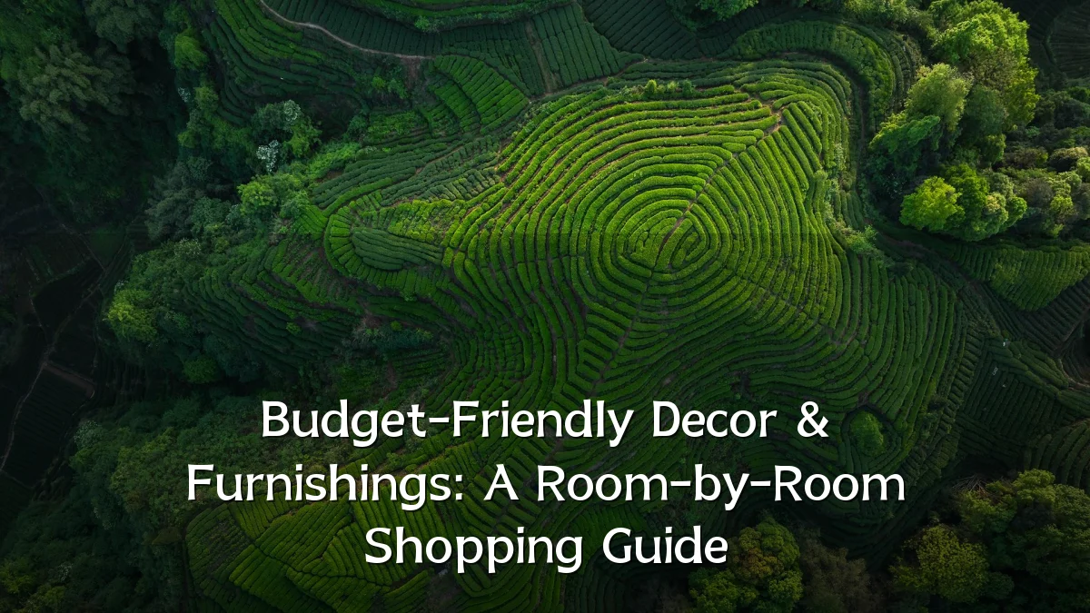 Budget-Friendly Decor & Furnishings: A Room-by-Room Shopping Guide