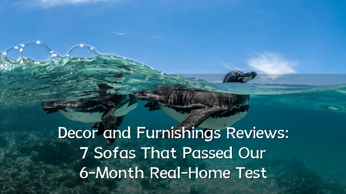 Decor and Furnishings Reviews: 7 Sofas That Passed Our 6-Month Real-Home Test