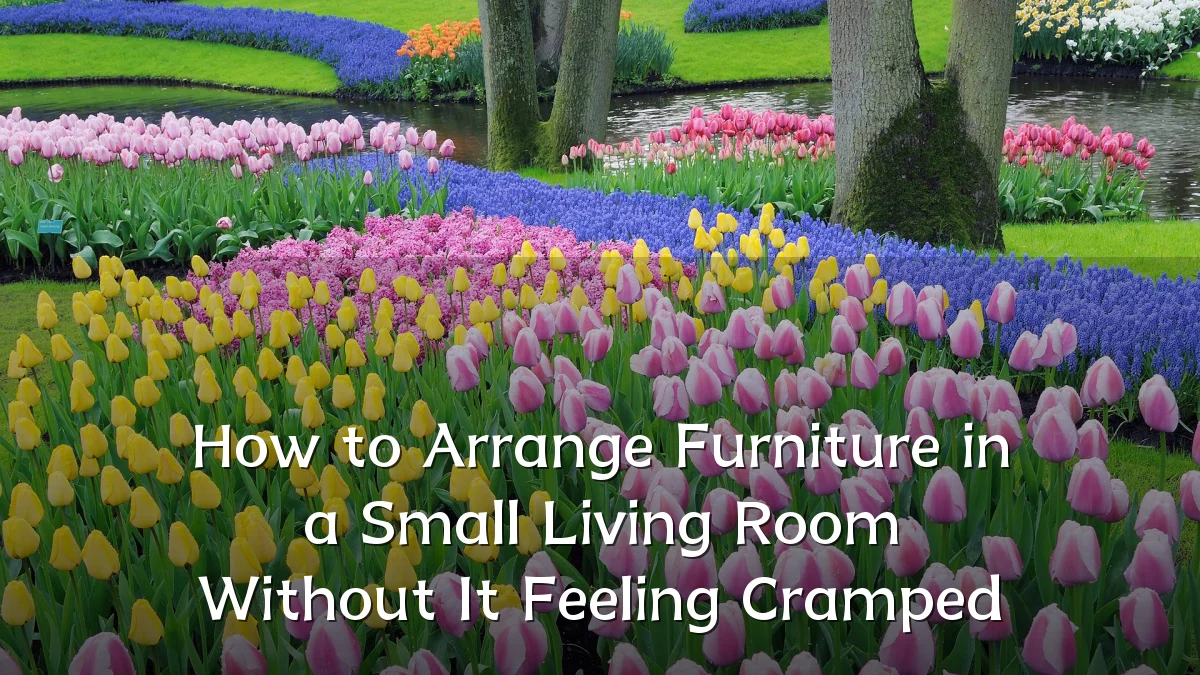 How to Arrange Furniture in a Small Living Room Without It Feeling Cramped