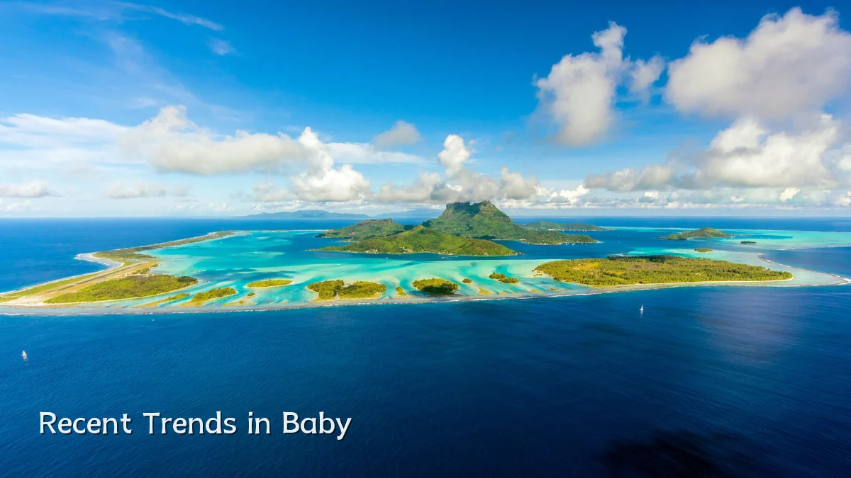 Recent Trends in Baby