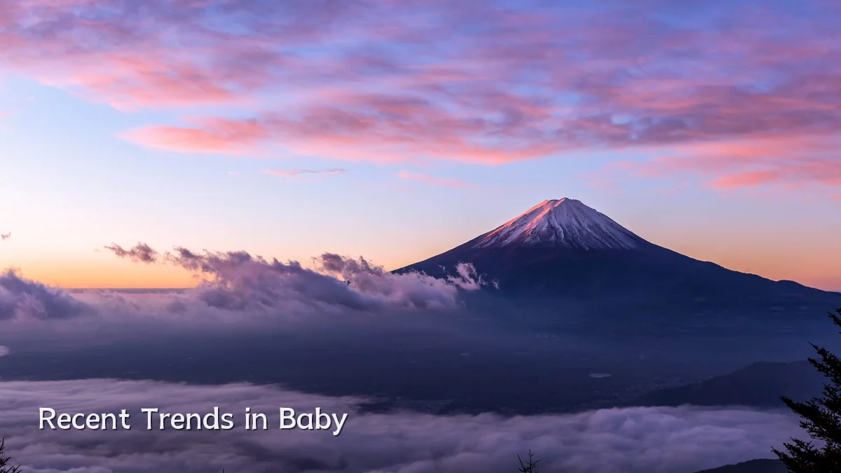 Recent Trends in Baby