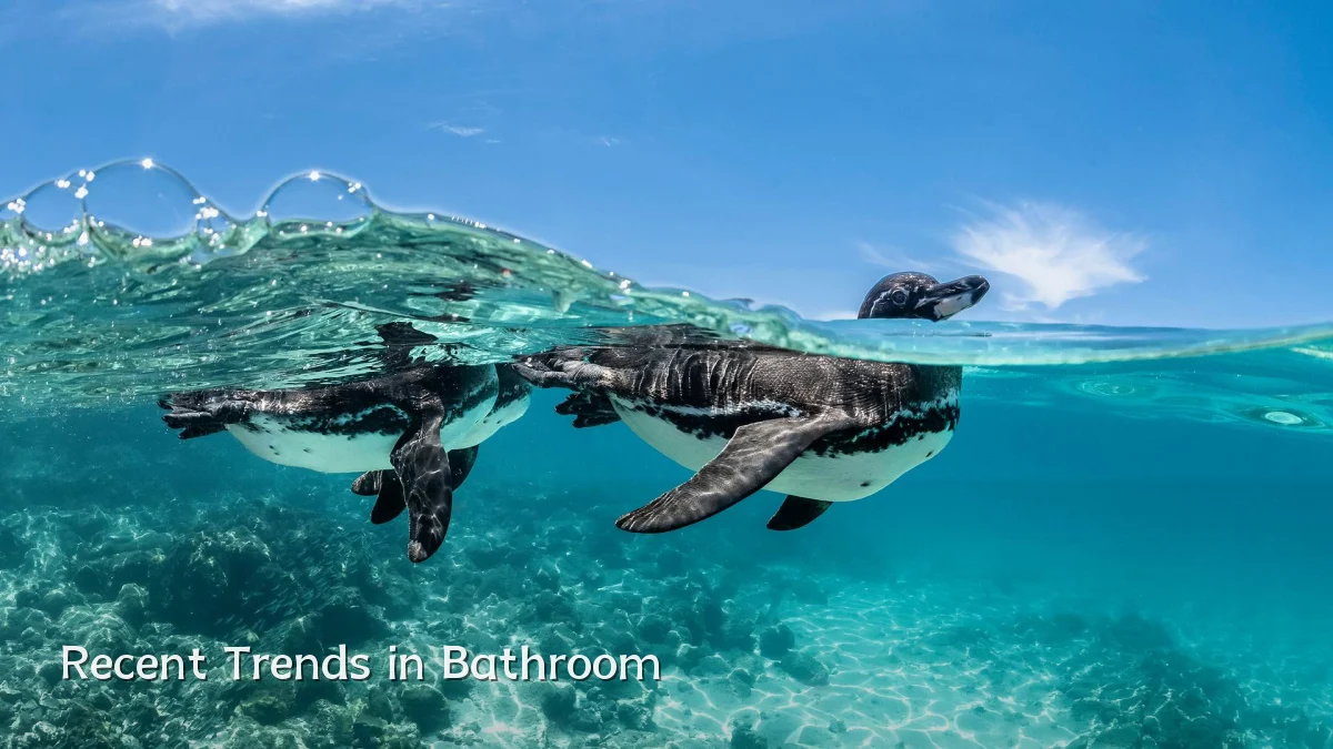 Recent Trends in Bathroom