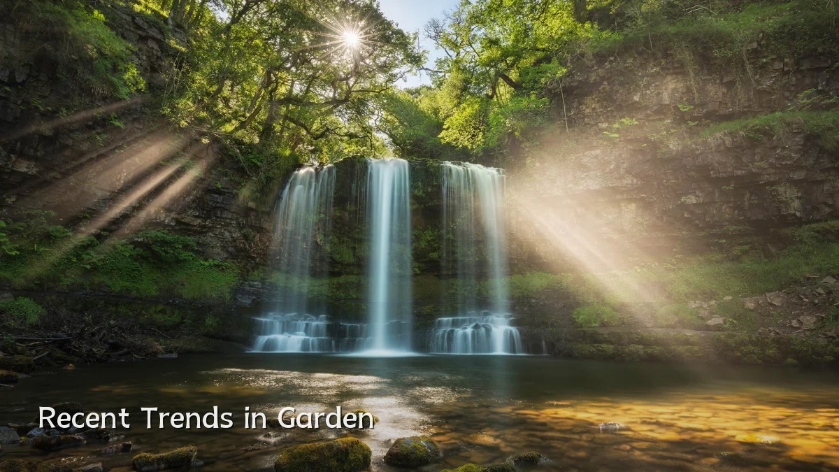 Recent Trends in Garden