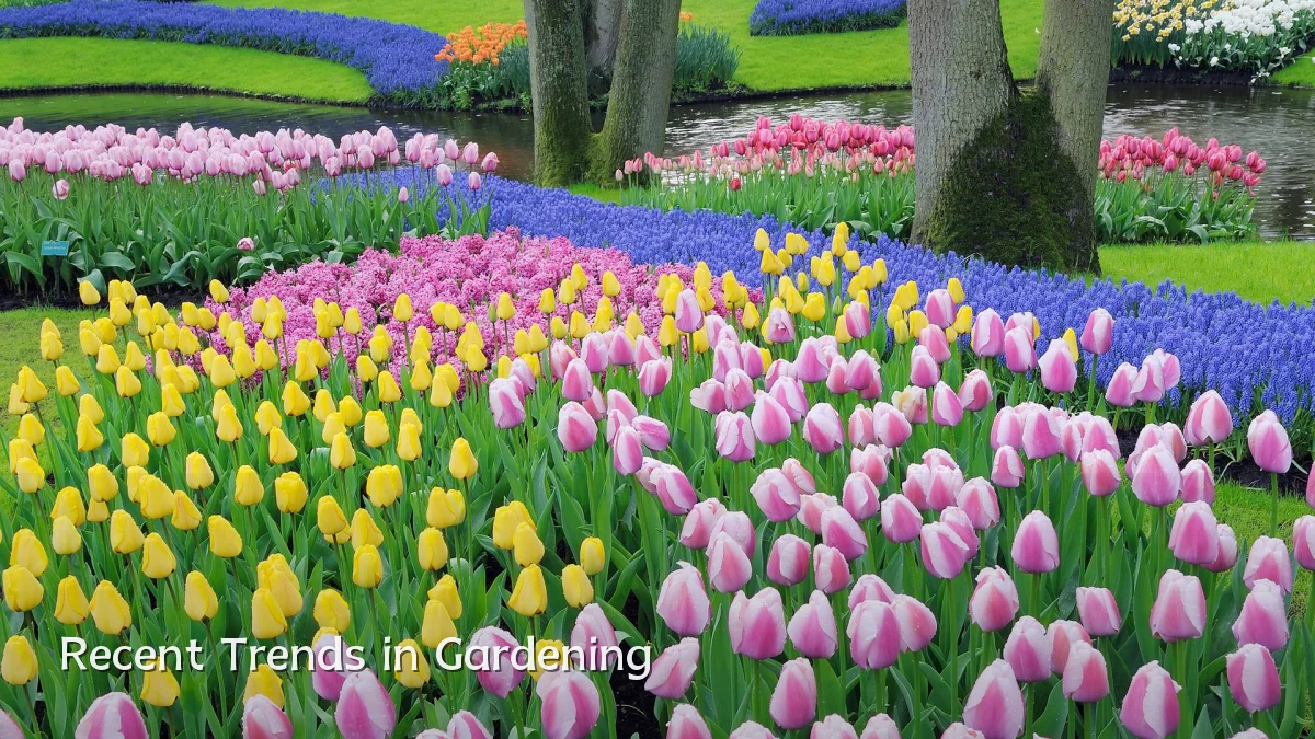 Recent Trends in Gardening