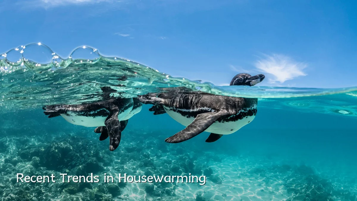 Recent Trends in Housewarming