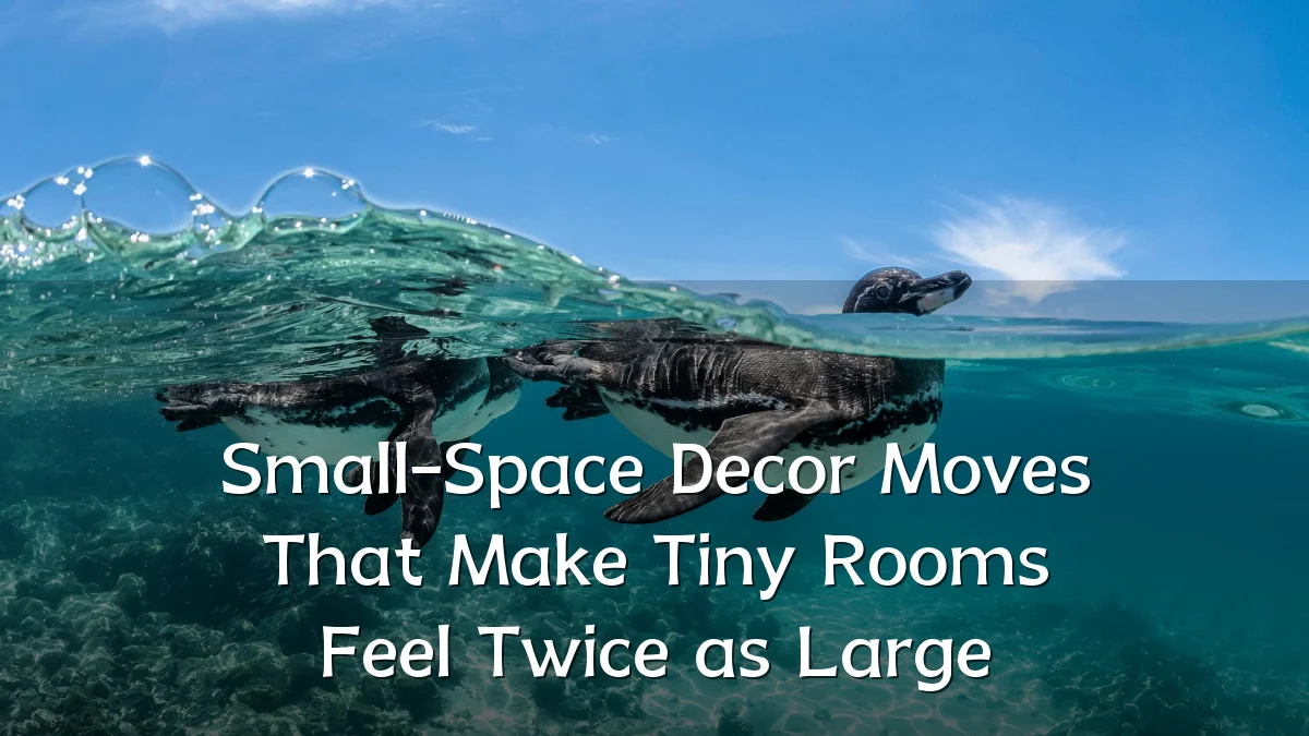 Small-Space Decor Moves That Make Tiny Rooms Feel Twice as Large