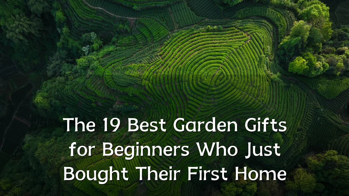 The 19 Best Garden Gifts for Beginners Who Just Bought Their First Home