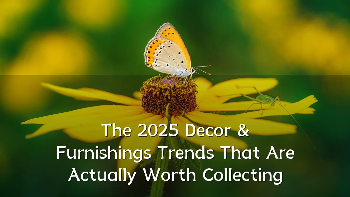 The 2025 Decor & Furnishings Trends That Are Actually Worth Collecting